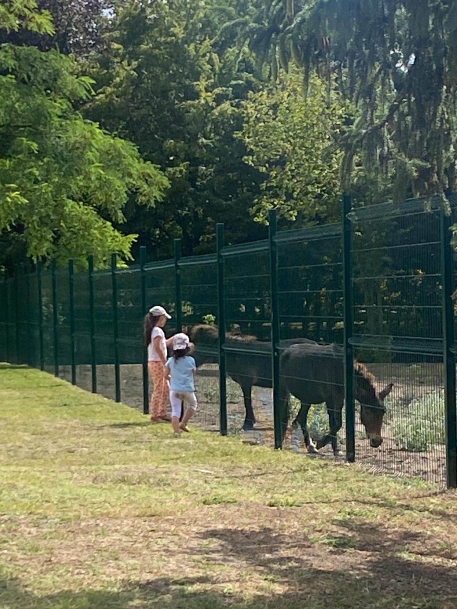 Charmante Du 17eme Siecle A Lilette Avec Jacuzzi Et Proche Riviere Buxeuil (Vienne)